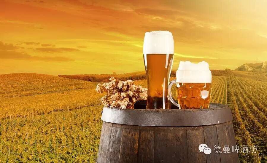 《純凈法》的后門(mén)，被譽(yù)為“貴族”的小麥啤酒的起起落落